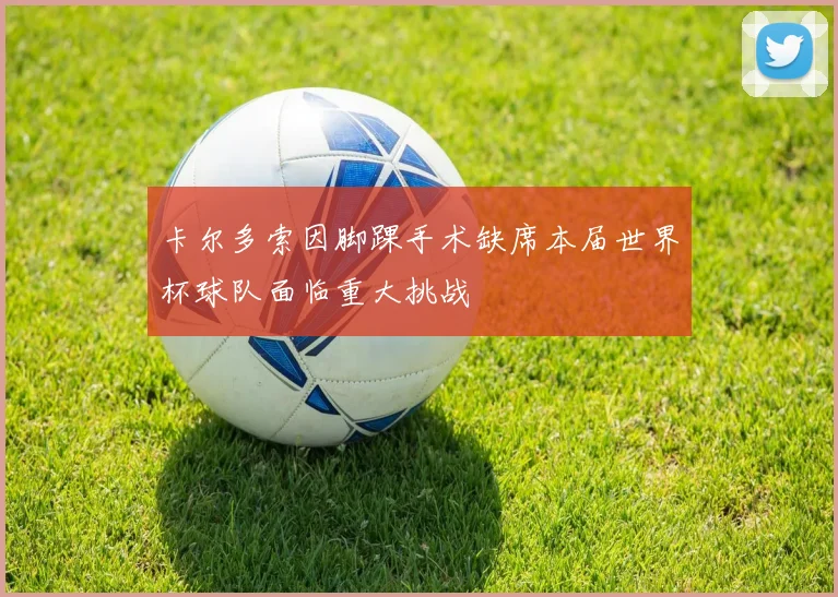 卡尔多索因脚踝手术缺席本届世界杯球队面临重大挑战