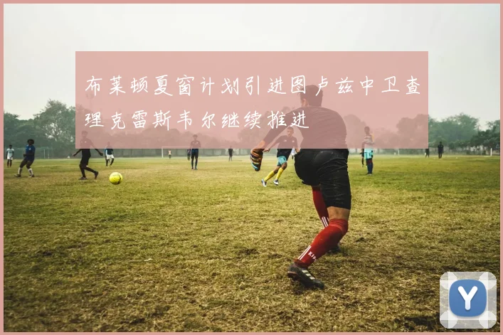 布莱顿夏窗计划引进图卢兹中卫查理克雷斯韦尔继续推进