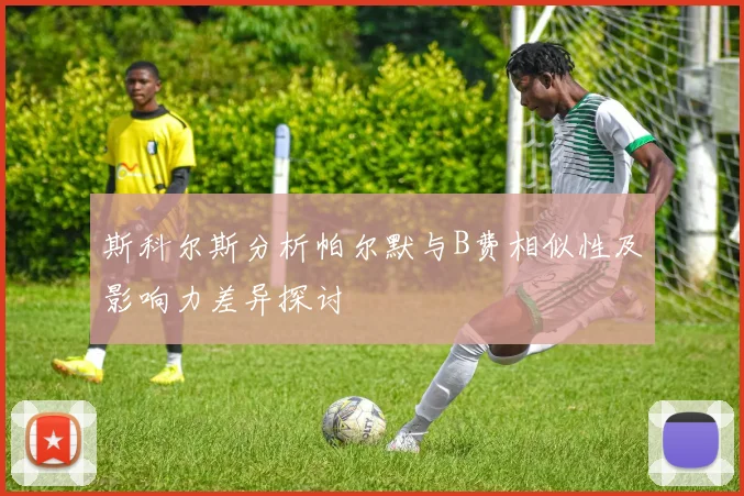 斯科尔斯分析帕尔默与B费相似性及影响力差异探讨