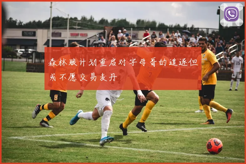 森林狼计划重启对字母哥的追逐但或不愿交易麦丹